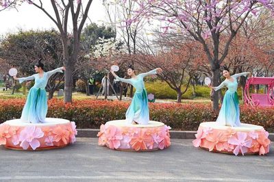 又是一年賞櫻時(shí)！第十屆中國(guó)（鶴壁）櫻花季啟幕 劇本活動(dòng)